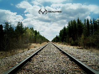 Train track sky trees beautee - album cover free wallpaper for desktop