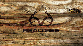 Wood logo closeup tree trunk - a logo free wallpaper for desktop