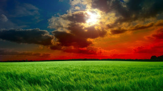 Green grass cloudy sky sunshine 3 - the cloud above free wallpaper for desktop