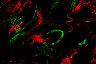 Black background red green swirl - albert irvin free wallpaper