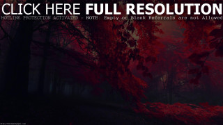 Dark forest red leaves red - red leaf free wallpaper for desktop
