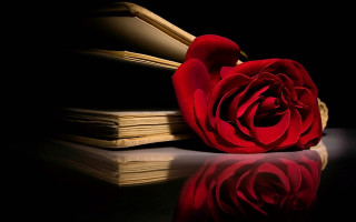 Red rose book table mirror - top of a book free wallpaper
