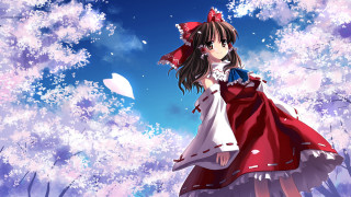 Girl red dress field flowers 2 - a field of flowers free wallpaper