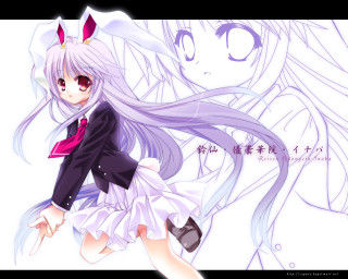 Rabbit girl purple hair stand - a long tail free wallpaper