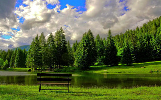 Bench grass lake trees cloudy 2 - a lake in the background free wallpaper