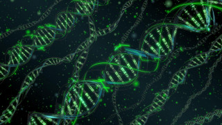 Green white structure green light 2 - the top of it free wallpaper