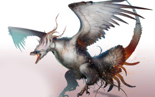 Bird wings spread long beak - a long beak free wallpaper for desktop