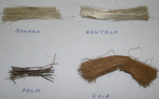 Hair types table moustache names - evariste vital luminai free wallpaper