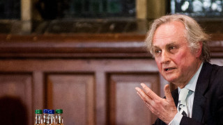 Man suit tie table beer - david brewster free wallpaper