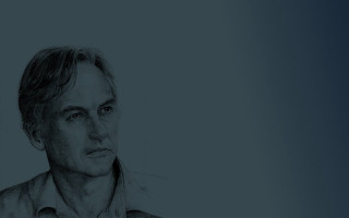 Serious man drawing shoulders expression - photo of him free wallpaper for desktop