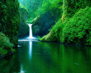 Waterfall green forest stream nature 3 - a green forest free wallpaper for desktop