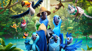 Birds hats jungle waterfall flying - a group of birds free wallpaper