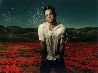 Man field red flowers water - david lachapelle free wallpaper