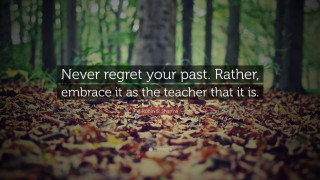 Forest quote leaves trees background - a forest floor free wallpaper