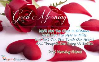 Red rose good morning message - good morning free wallpaper