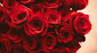 Red roses vase tabletop arrangement - red rose free wallpaper