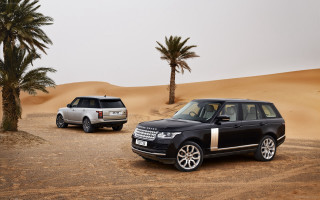 Cars desert palm tree white - a white suv free wallpaper