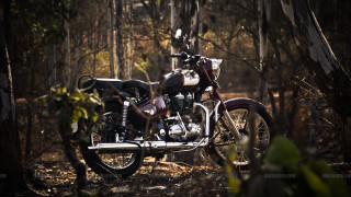 Motorcycle parked woods near trees - don arday free wallpaper for desktop