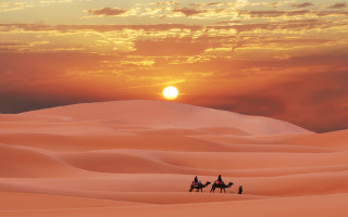 Camel riders desert sunset sky - the background and a sun setting free wallpaper