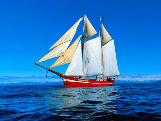 Sailboat sailing ocean sunny day 8 - blue sky free wallpaper