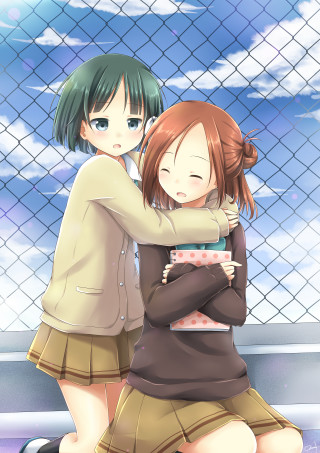 Girls hugging fence fenced area - a blue sky free wallpaper for mobile