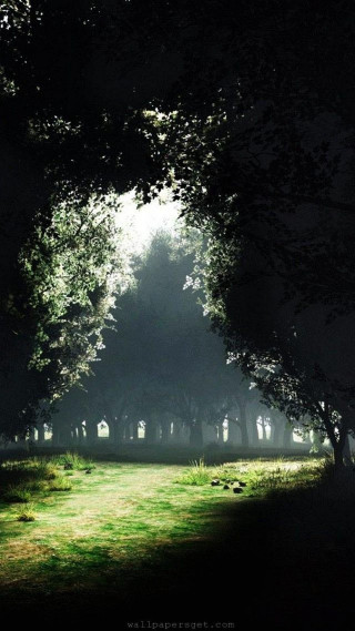 Dark forest green field night - free halloween wallpaper for mobile