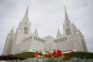 Large white church steeple flowers - david g. sorensen free wallpaper for desktop