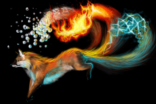 Fox flying bubbles fireball glowing - a fox free wallpaper
