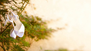 White shoes hanging tree green - a pair free wallpaper for desktop