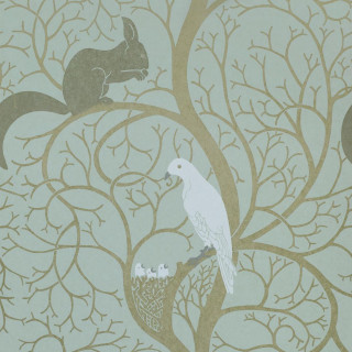 Bird squirrel tree branch background - free cats wallpaper for tablet