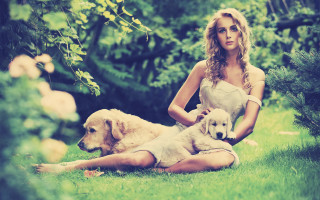Woman sitting grass two dogs - two dog free wallpaper for desktop