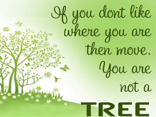 Green card tree quote image - allen tupper true free wallpaper