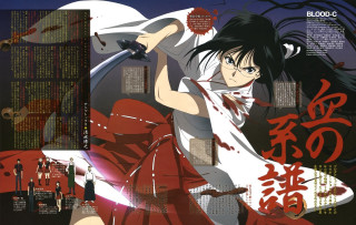 Woman red dress sword cityscape - a cityscape free wallpaper