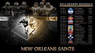 New orleans saints 2013 season - cedric seaut free wallpaper for desktop