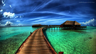 Wooden pier hut beach clear 8 - clear water free wallpaper