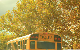 School bus yellow leaves blue - claire hummel free wallpaper