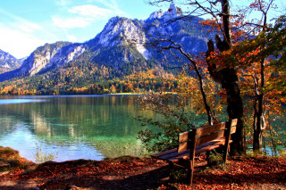 Bench lake mountains trees leaves - mountain and trees free wallpaper