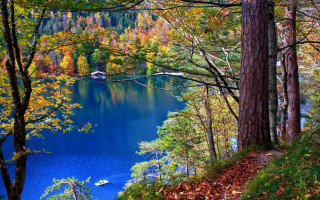 Lake trees forest boat water - impressionism free wallpaper