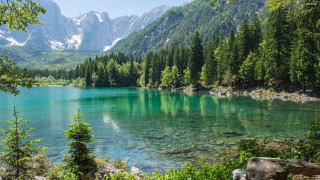 Lake mountains trees forest clear - green foliage free wallpaper