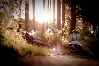 Scooter parked forest sun shining - a scooter free wallpaper