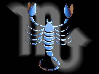 Scorpion dark 101 chest 101 - m free wallpaper for desktop