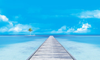 Pier palm tree ocean blue - end free wallpaper