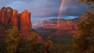 Rainbow mountain range sky trees - a rainbow in the sky above free wallpaper