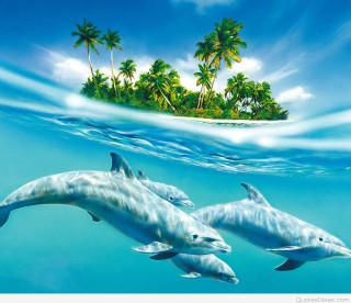 Dolphins swimming ocean island palm - the water below free wallpaper