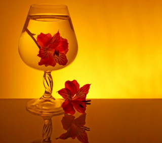 Glass water flower table yellow 2 - a still life free wallpaper for tablet