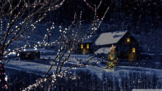 House christmas tree snow night - a christmas tree in the snow free wallpaper