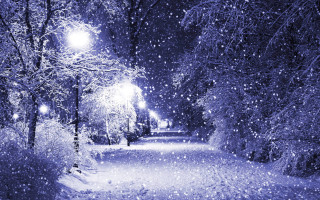 Snowy path streetlight trees night - both side of it free wallpaper