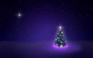 Christmas tree lit night sky - star above free wallpaper for desktop