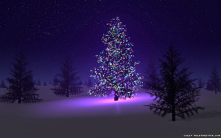 Christmas tree snow night purple 2 - ernest william christmas free wallpaper for desktop