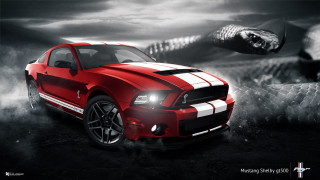 Red mustang car white stripe - the hood free wallpaper